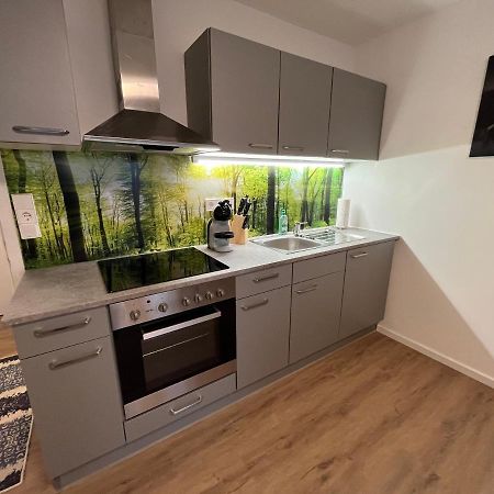 Modernes 4Er Apartment In Skilift-Naehe Zell am See Zewnętrze zdjęcie